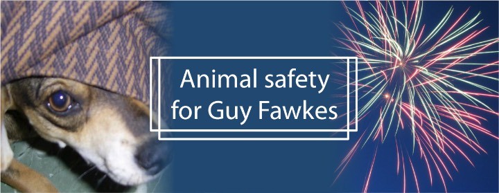 Image of for ANIMAL SAFETY FOR GUY FAWKES at Sterling Private Clients