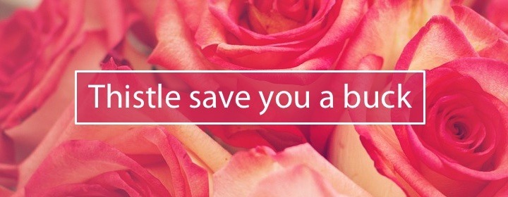 Image of for Thistle save you a buck at Sterling Private Clients